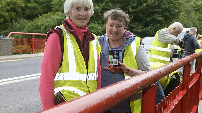 Alice Taylor and Margaret Murphy helping to paint the Innishannon bridge. (Photo: Denis Boyle)