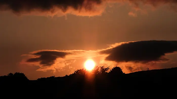 Reader’s Picture of the Week Image