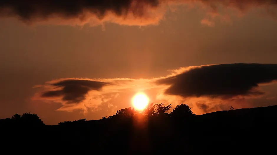 Reader’s Picture of the Week Image