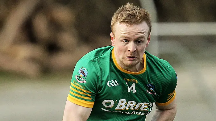 COUNTY LEAGUE ROUND-UP: Argideen Rangers and Kilmacabea promoted to Division 6 Image