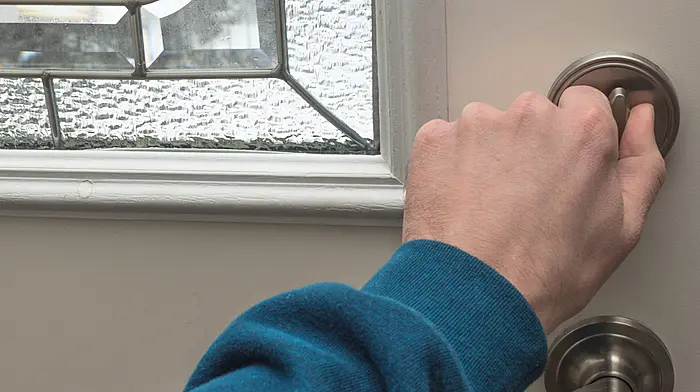 Witness appeal for burglary in Newcestown Image