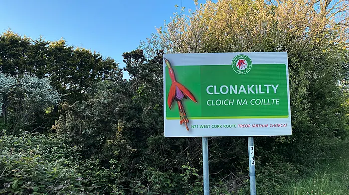 246 houses planned for Clonakilty, as Bandon plans go to An Bord Pleanála Image
