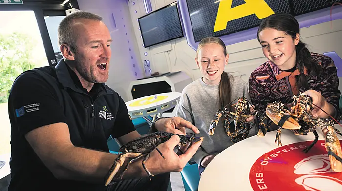 Carrigaline pupils celebrate World Oceans Day with lessons on lobster conservation Image