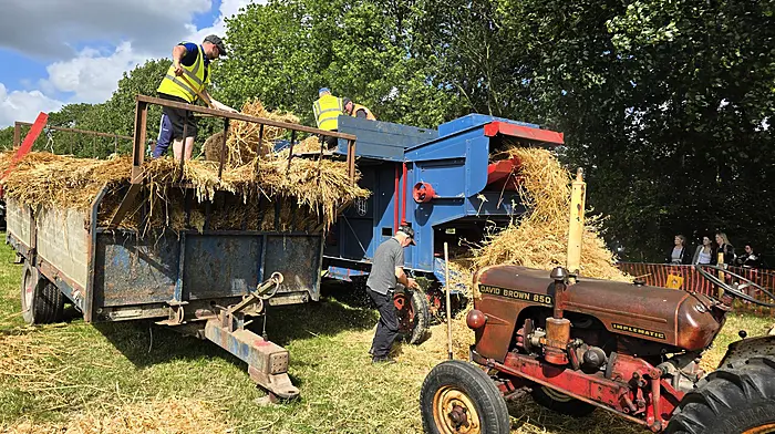 Threshing at the Innishannon Steam and Vintage Rally  which was held recently.