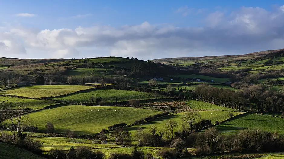 ICSA call for extension to tax reliefs Image