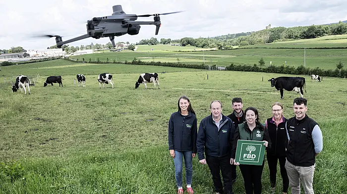 Photo competition celebrates dairying Image