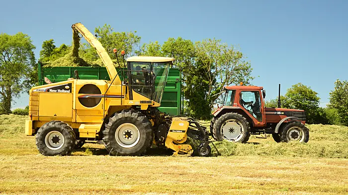 FARM CLASSICS: New Holland FX 60 has a serious appetite! Image