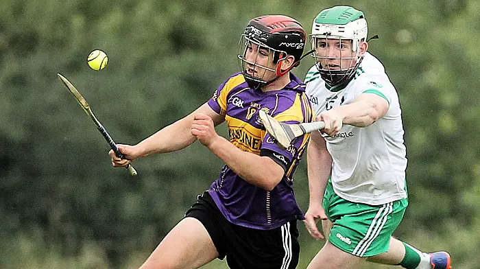 Muskerry end Carbery hurlers’ hopes of county run Image