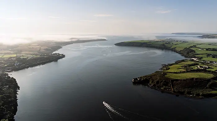 Last push against Kinsale mussel farm as petition reaches 5,500 Image