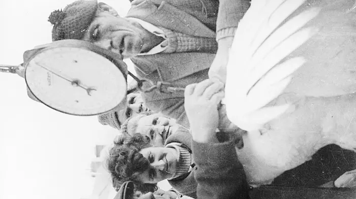 Christmas turkey sale in Dunmanway, December 1978.