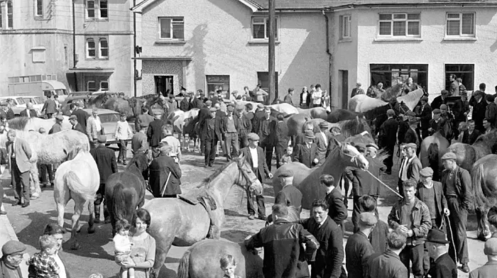 Horse fair on Market Street, Skibbereen in 1967. (Photo: Michael Minihane)