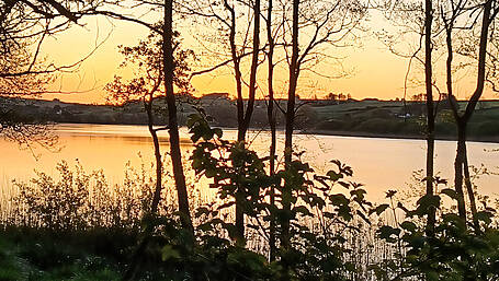 Reader’s Picture of the Week Image