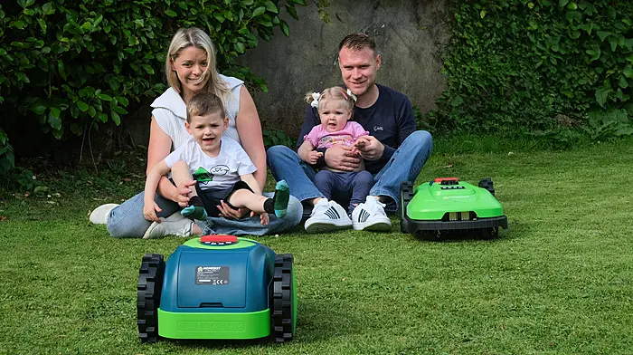 Homebot Ireland: Bot’s the story..? Image
