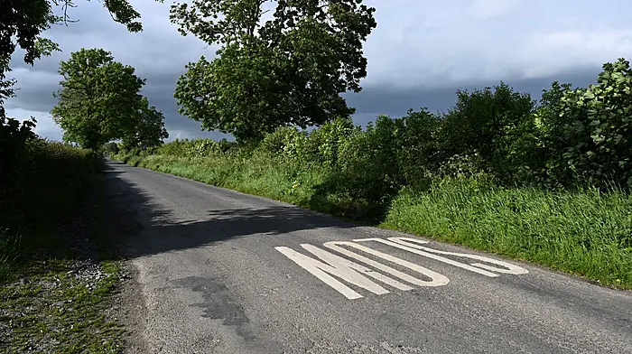 Hauliers see red over overgrown hedgerows Image