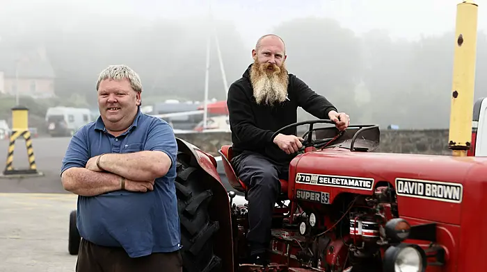 Out and About in West Cork Image