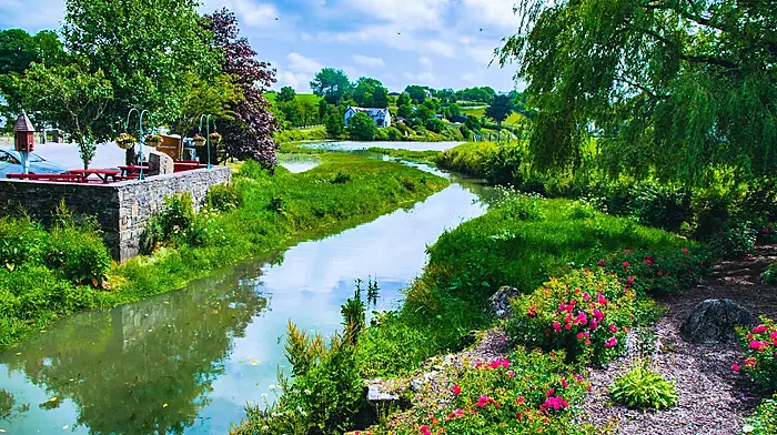 Local photographer Liam Barry captured the floral art display created by the Ballinadee Tidy Towns group.