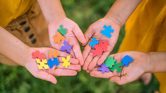 West Cork Mum left without any supports for her autistic daughter Image