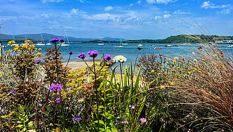 Reader’s Picture of the Week Image