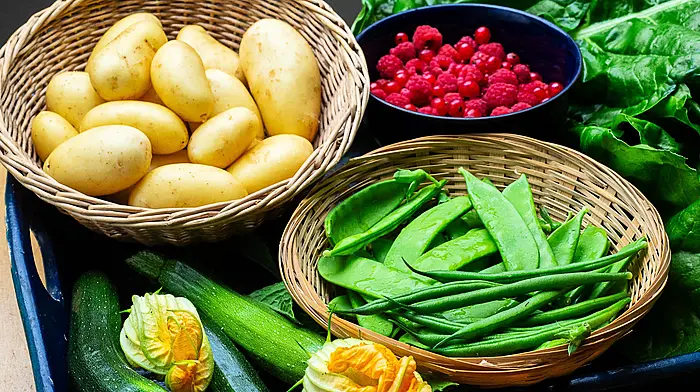 GARDENING: Enjoy the fruits of your labour Image