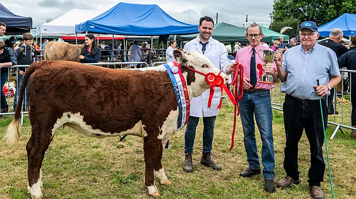 Big crowds turned out for the annual Charleville Agricultural Show on the weekend of 28th and 29th June last. Charleville Show, which is the largest agricultural show in Ireland, has a wide range of events including cattle, horse, and sheep judging, as well as horticulture, dog shows, arts & crafts, cookery, and children's competitions. Michael Barrett from Dunmanway with his champion Hereford Heifer 'Gurtaleen Inchvale Ladybird II', pictured with judge Michael Bird, Co. Meath and his father JJ Barrett from Ballineen. Picture: Andy Gibson.