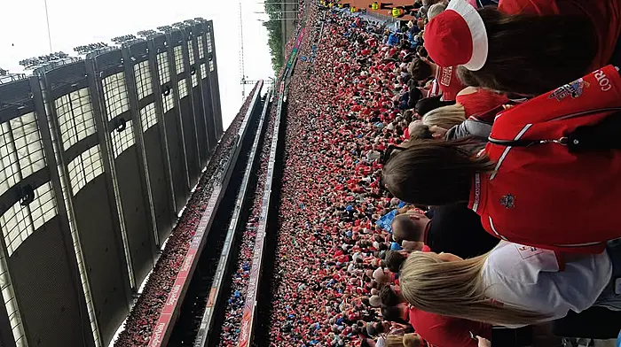 Taken from the Devin Stand