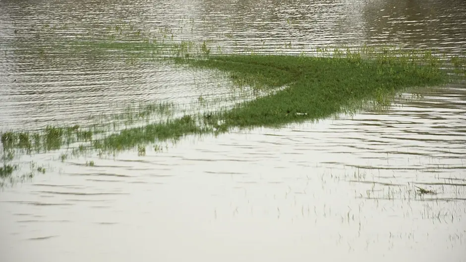 Increase in ‘extreme weather events’ causing flooding misery and damaging homes and roads in Union Hall Image