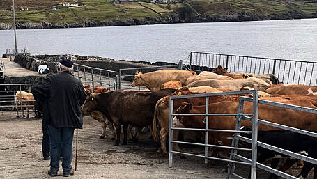 Farming with ‘one hand tied behind our backs’ Image
