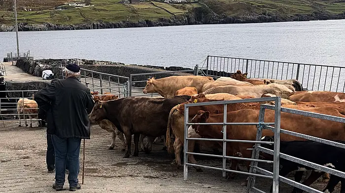 Farming with ‘one hand tied behind our backs’ Image