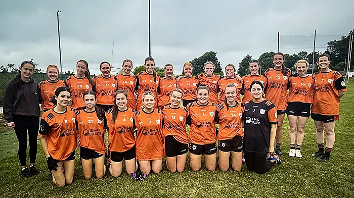 Five West Cork teams to contest LGFA county league finals Image