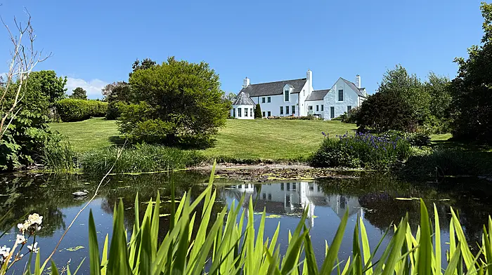 HOUSE OF THE WEEK: Gloun’s Four Blues Image