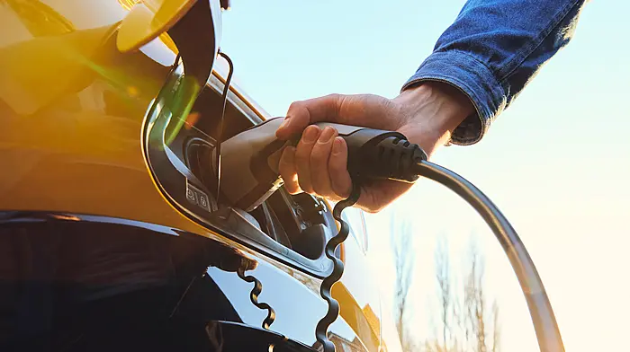 Fuel prices up but EV charges unchanged Image