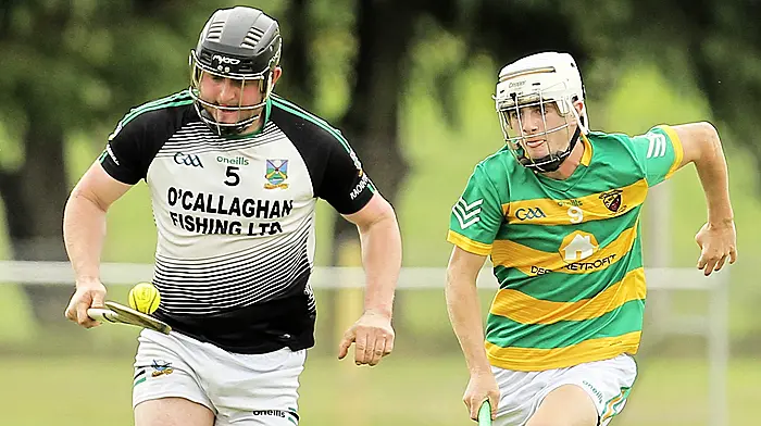 ‘Nobody gave us a chance but we rattled them,’ says Gabriel Rangers manager after county semi-final loss Image