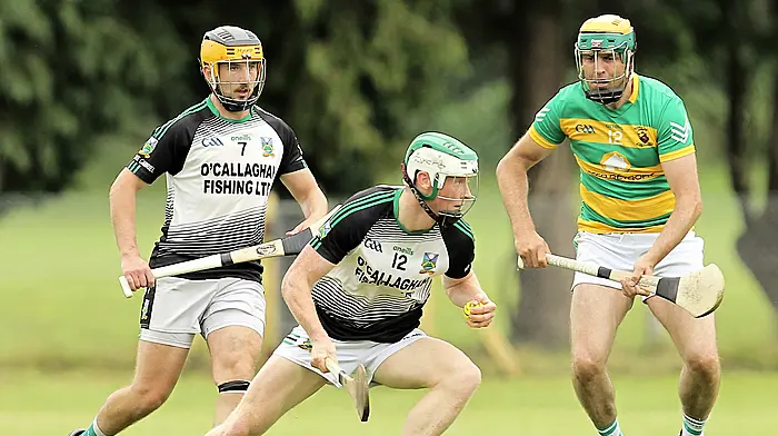 Kieran O’Brien believes Gabriels are on right track Image