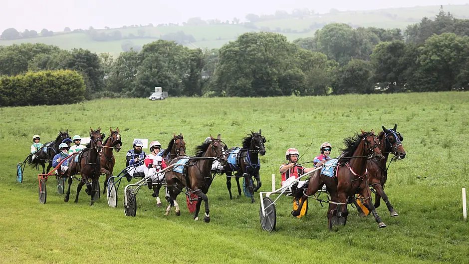 Duc D'Arry delivers to win top-grade trot Image