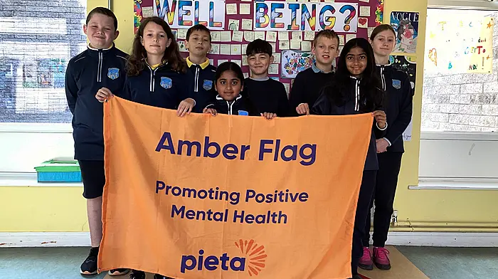 Bandon Primary School flies flag for wellbeing Image
