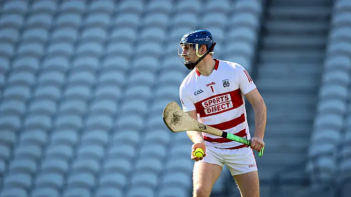 Safe hands, strong roots, Patrick Collins always delivers Image