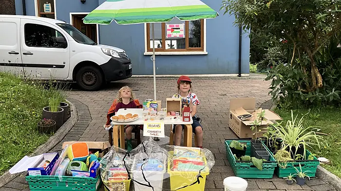 Roan Dufétel (6) held a charity sale recently in Rerrin, Bere Island to raise money for children in Gaza and other children’s charities . He raised €231.80 selling plants, books, Lego, crayons, toys and scones. His sister Doireann (2) was his able-assistant on the day.