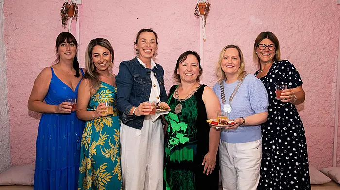 Carly O'Donovan, Sophia Kalfa, Lorna O'Regan, Anna Healy (president, NIWC), Cathy Fitzgibbon (Cork branch president), and Florencia Santana at the NIWC summer party.  (Photo: Kathryn O'Shea)
