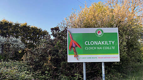 No funding to repair collapsed Clonakilty bridge Image