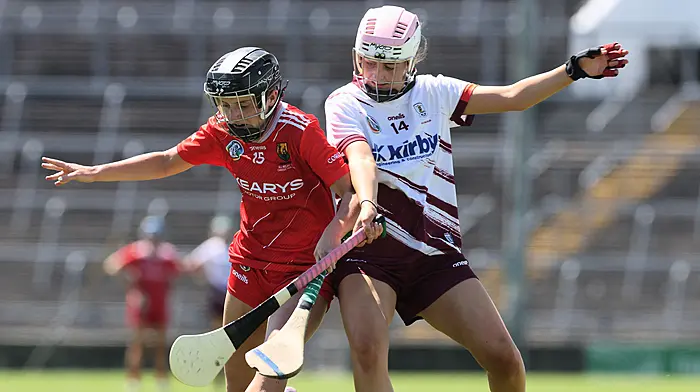‘We just didn’t perform. Simple as,’ rues Cork boss after All-Ireland U23 camogie final defeat Image