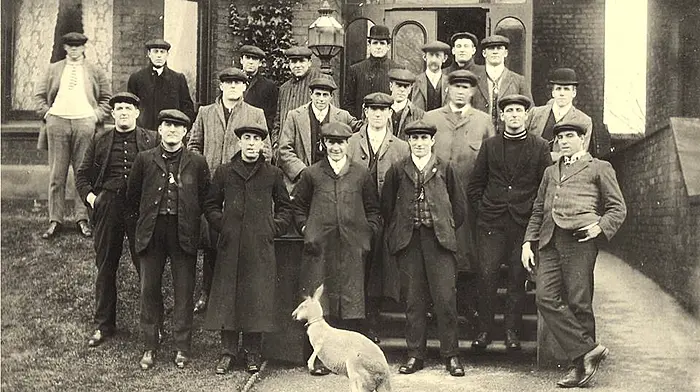 John Fihelly: The West Cork Wallaby Image