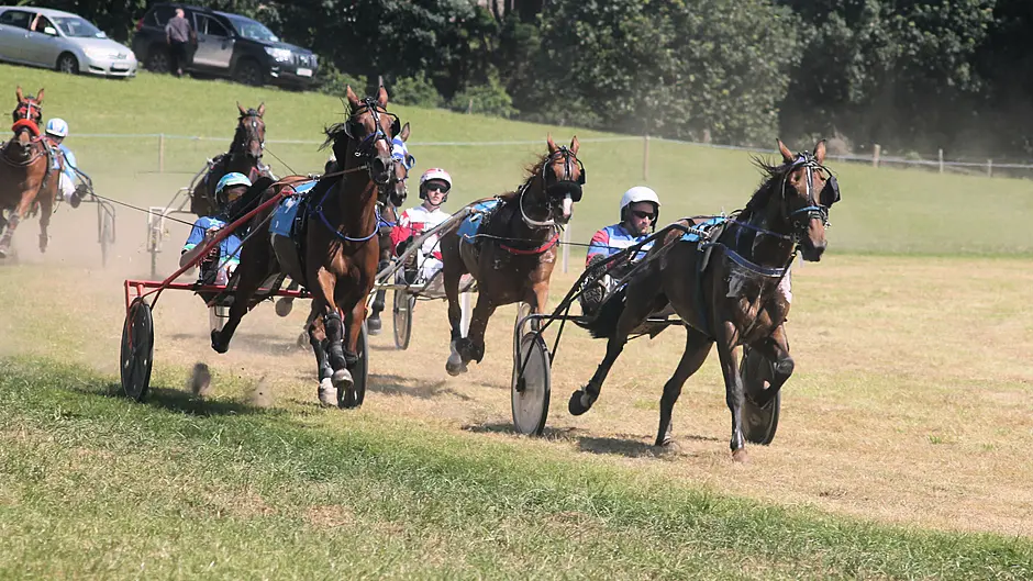 Hat-trick hero Duc D’Arry delights at Lyre Image