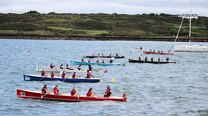 Kilmacsimon crowned Club of the Day as Baltimore delivers thrilling championship action Image