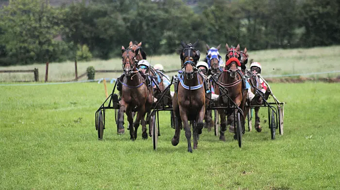 Ayr Beach and Teddy Camden race to victory in Lyre Image