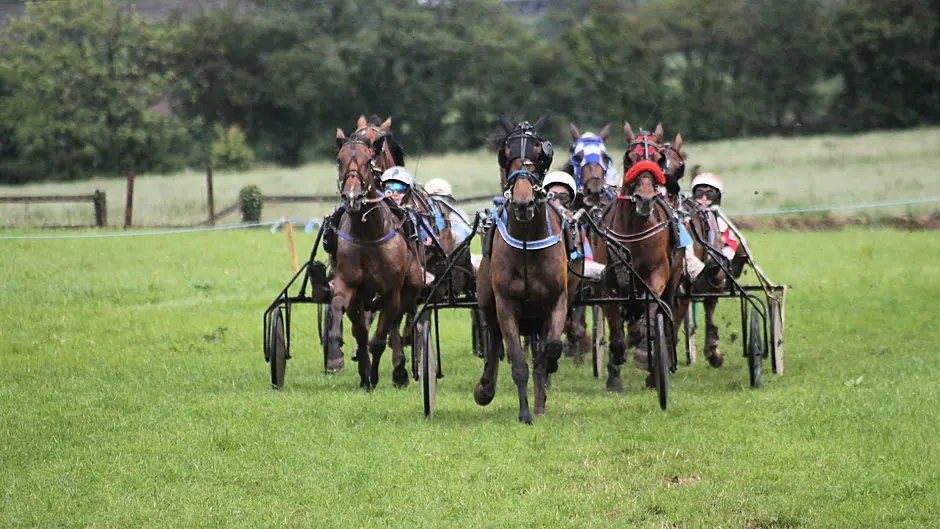 Ayr Beach and Teddy Camden race to victory in Lyre Image