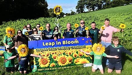 Blooming marvellous! Leap a sea of yellow as sunflowers set to boost GAA fund and charity Image