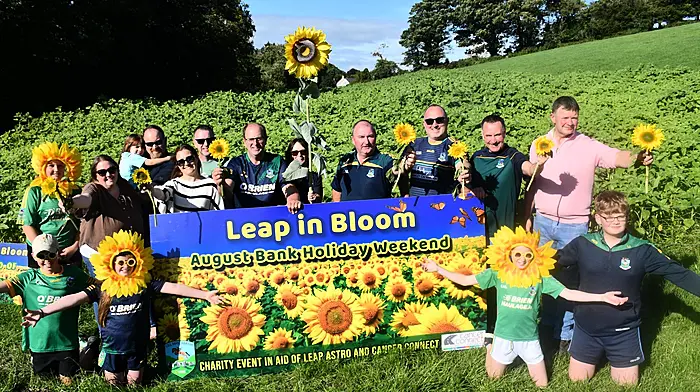 Blooming marvellous! Leap a sea of yellow as sunflowers set to boost GAA fund and charity Image