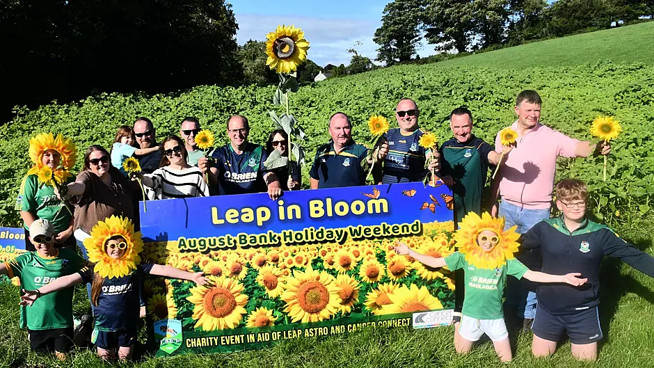 Blooming marvellous! Leap a sea of yellow as sunflowers set to boost GAA fund and charity Image