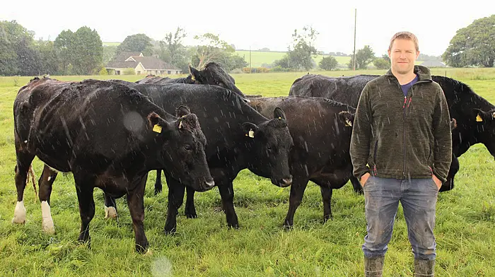 Derogation key to West Cork Wagyu success Image
