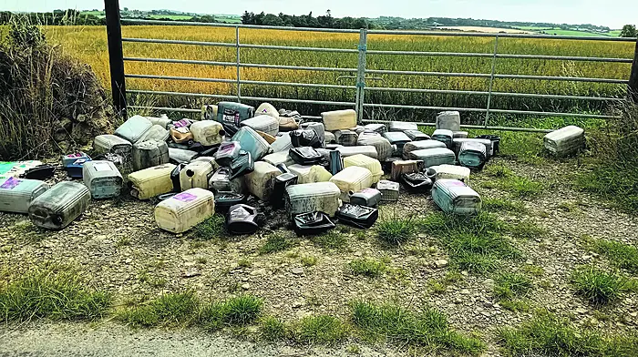 Caption 1 pictured at Farlistown, Ballinhassig, on Saturday last, where a significant fly tipping incident took place. The material is believed to be from the valeting industry.